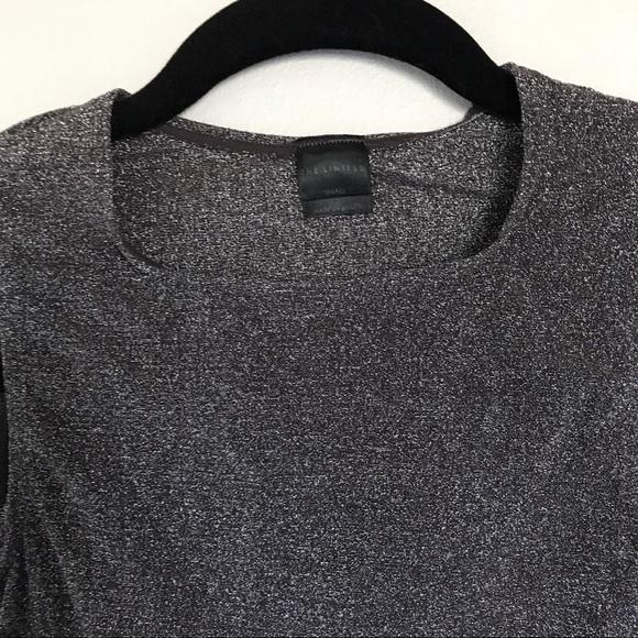 The Limited Metallic Stretch Sleeveless Top Small - Picture 2 of 12